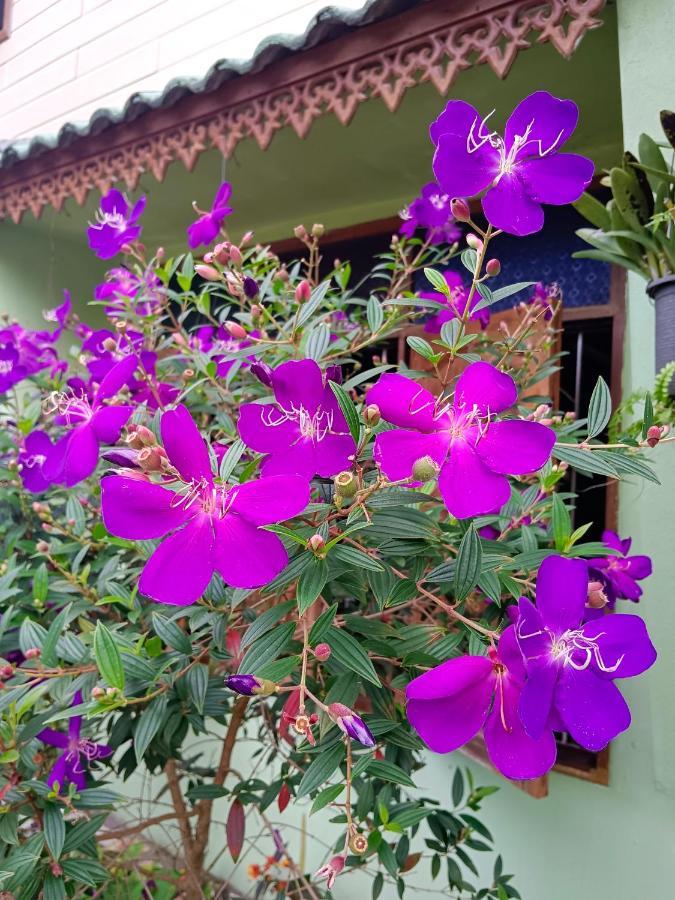 Hotel 4 Seasons Mini House Nakhon Si Thammarat Exterior foto